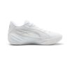 All-Pro Nitro ”Vit Silver”