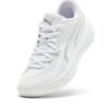 All-Pro Nitro ”Vit Silver”