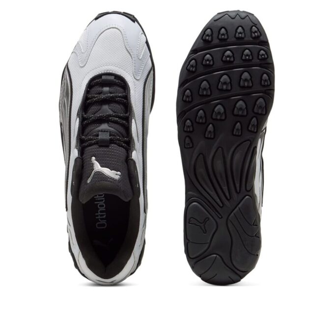 Andas in leende ”Mörkgrå”