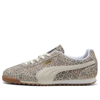 Arizonas ”Leopard”
