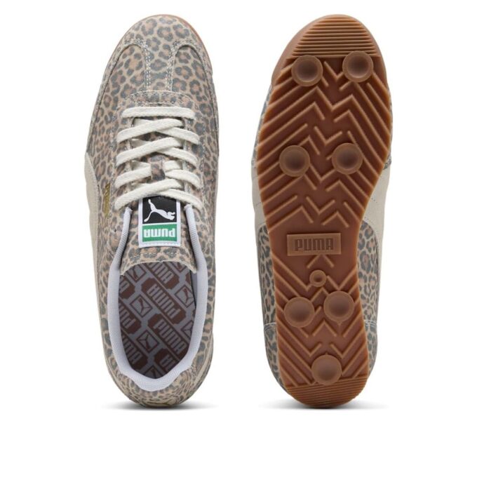 Arizonas ”Leopard”