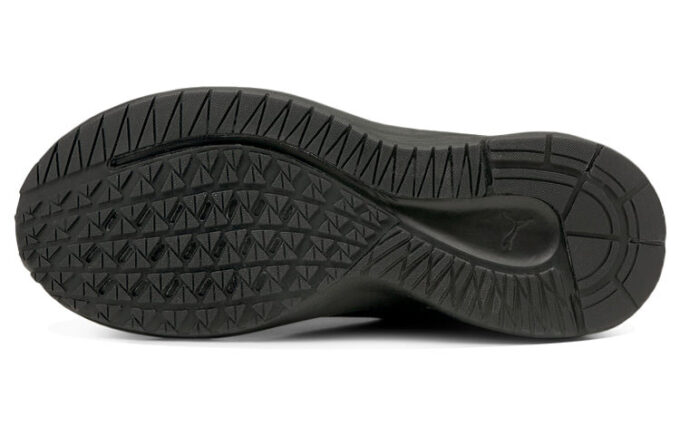 Aviator Low-Top Svart