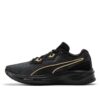Aviator ProFoam Sky ”Black Team Gold”