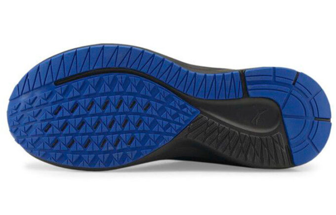 Aviator ProFoam Sky ”Svart Victoria Blå”