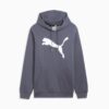 Big Cat Herr Logo Hoodie