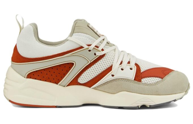 Blaze Of Glory ”Vaporous Grey Warm Chestnut”