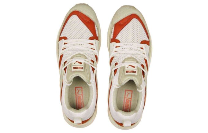 Blaze Of Glory ”Vaporous Grey Warm Chestnut”