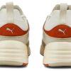 Blaze Of Glory ”Vaporous Grey Warm Chestnut”