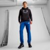 BMW M Motorsport Voltaic Evo Herr Sneakers BMW M Motorsport Voltaic Evo Herr Sneakers