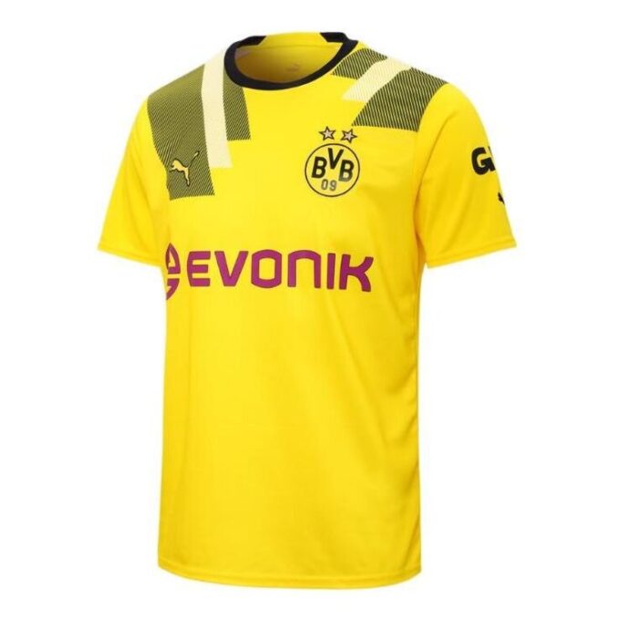 Borussia Dortmund Axel Witsel 28 Third Cup Jersey ”Yellow”