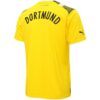 Borussia Dortmund Axel Witsel 28 Third Cup Jersey ”Yellow”