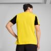 Borussia Dortmund ftblARCHIVE Herrtröja