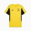 Borussia Dortmund ftblARCHIVE Herrtröja