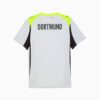 Borussia Dortmund Replica Bortatröja 25/26 Herr Fotbollströja