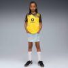 Borussia Dortmund Replica Hemmatröja 25/26 Barn Borussia Dortmund Replica Hemmatröja 25/26 Barn