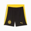 BVB Herr Fotbollsshorts BVB Herr Fotbollsshorts