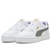 CA Pro Classic ”Vit Stormig Skiffer”