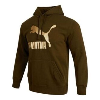 Classics Metallic Regular Fit Hoodie ”Brun”