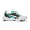 Disc Blaze OG ”Vit Mint”