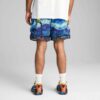 Dylan Exhibit Herr 18 cm Heltrycksshorts Dylan Exhibit Herr 18 cm Heltrycksshorts