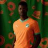 Elfenbenskusten 2025 Home Replica Jersey Fotboll för män