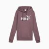 Essentials Dam Hoodie