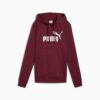 Essentials Dam Hoodie