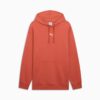 Essentials Herr Avslappnad Fleece Hoodie