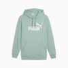 Essentials Herr Hoodie Essentials Herr Hoodie