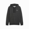 Essentials Herr Hoodie Essentials Herr Hoodie