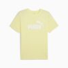 Essentials Herr T-shirt