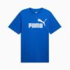 Essentials Herr T-shirt