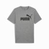 Essentials Herr T-shirt Essentials Herr T-shirt