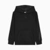 Essentials Satin Big Kids Fleece Hoodie Essentials Satin Big Kids Fleece Hoodie