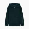 Essentials Satin Big Kids Fleece Hoodie