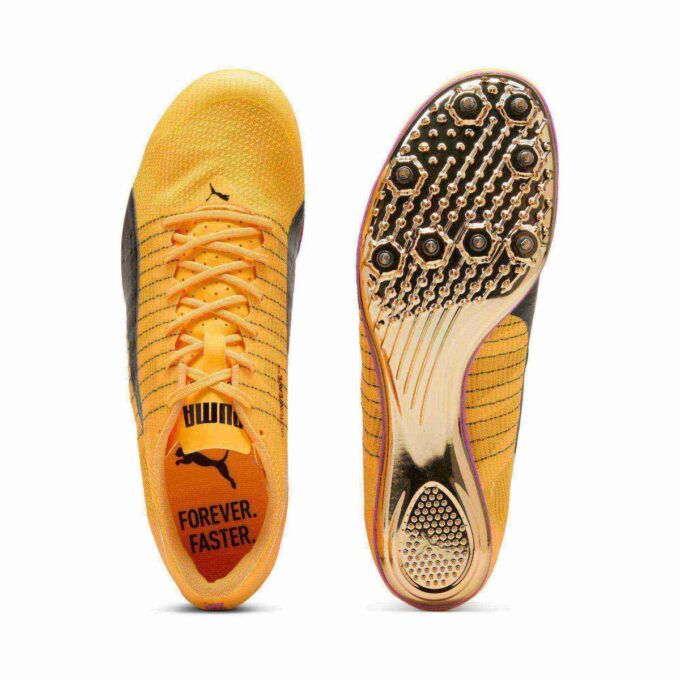 evoSPEED Brush 6 Spikes för friidrott och sprint