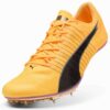 evoSPEED Brush 6 Spikes för friidrott och sprint