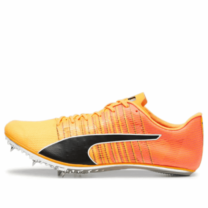 evoSpeed  Brush 6 ”Sun Stream Black”