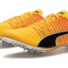 evoSpeed  Brush 6 ”Sun Stream Black”