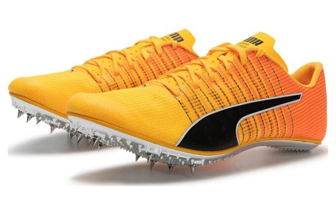 evoSpeed  Brush 6 ”Sun Stream Black”