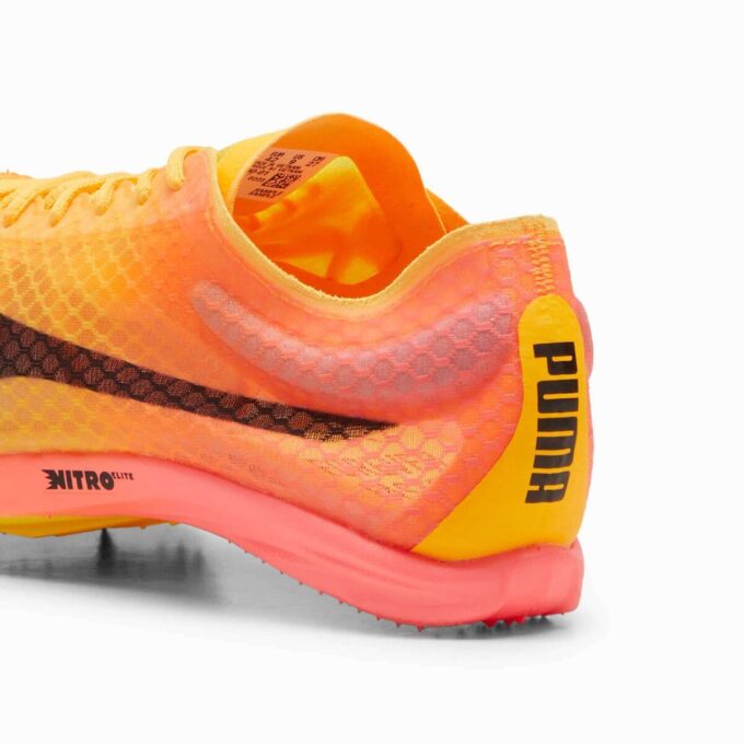 evoSPEED Distance NITRO™ Elite+ 4 Herr Friidrottsspikar