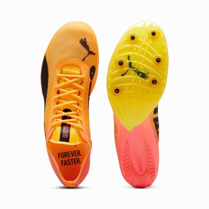 evoSPEED Distance NITRO™ Elite+ 4 Herr Friidrottsspikar