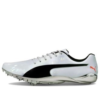 evoSPEED Electric 10 ”Grå”
