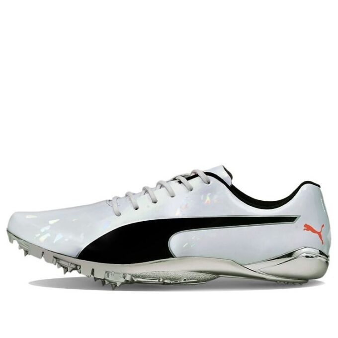 evoSPEED Electric 10 ”Grå”