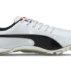 evoSPEED Electric 10 ”Grå”