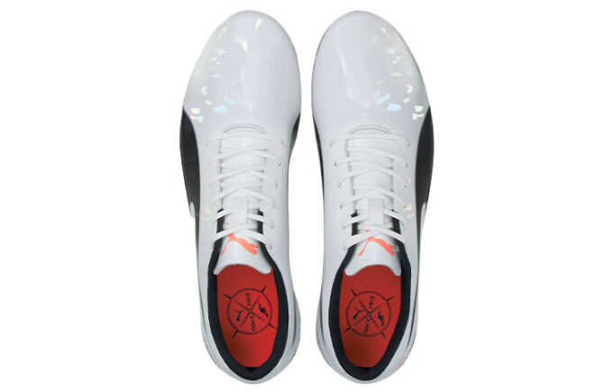 evoSPEED Electric 10 ”Grå”