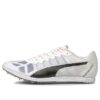 Evospeed Sportskor Grå/Svart