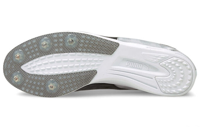 Evospeed Sportskor Grå/Svart