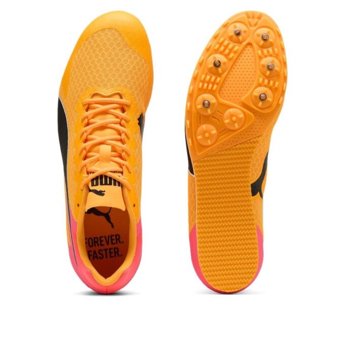 evoSPEED Star 9 ”Sun Stream”