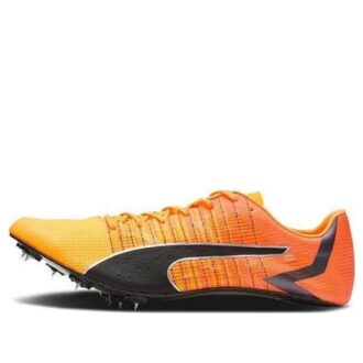 evoSpeed  Tokyo Future Faster ”Sun Stream Sunset Glow”